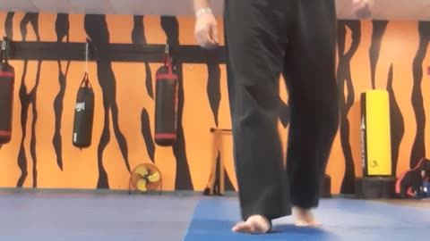 Tong Hap Kwan Hoshinsul Kicking Techniques