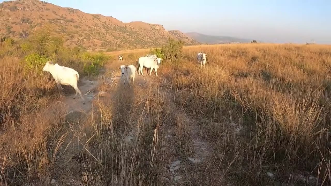 Cleanest Eco Tourism Village in Pakistan|Pakistan Mountain Village 🇵🇰🇵🇰🇵🇰🇵🇰🇵🇰👳‍♂️👳👳