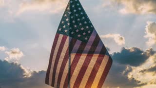 Veteran's Day Sale! Thank you for your service!