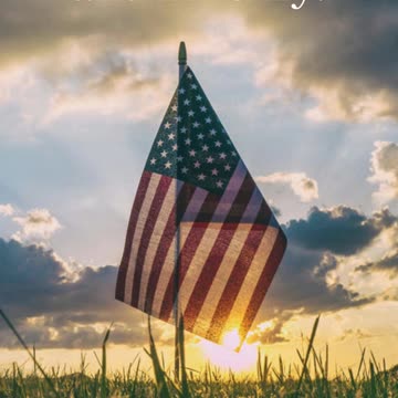 Veteran's Day Sale! Thank you for your service!