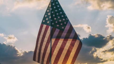 Veteran's Day Sale! Thank you for your service!