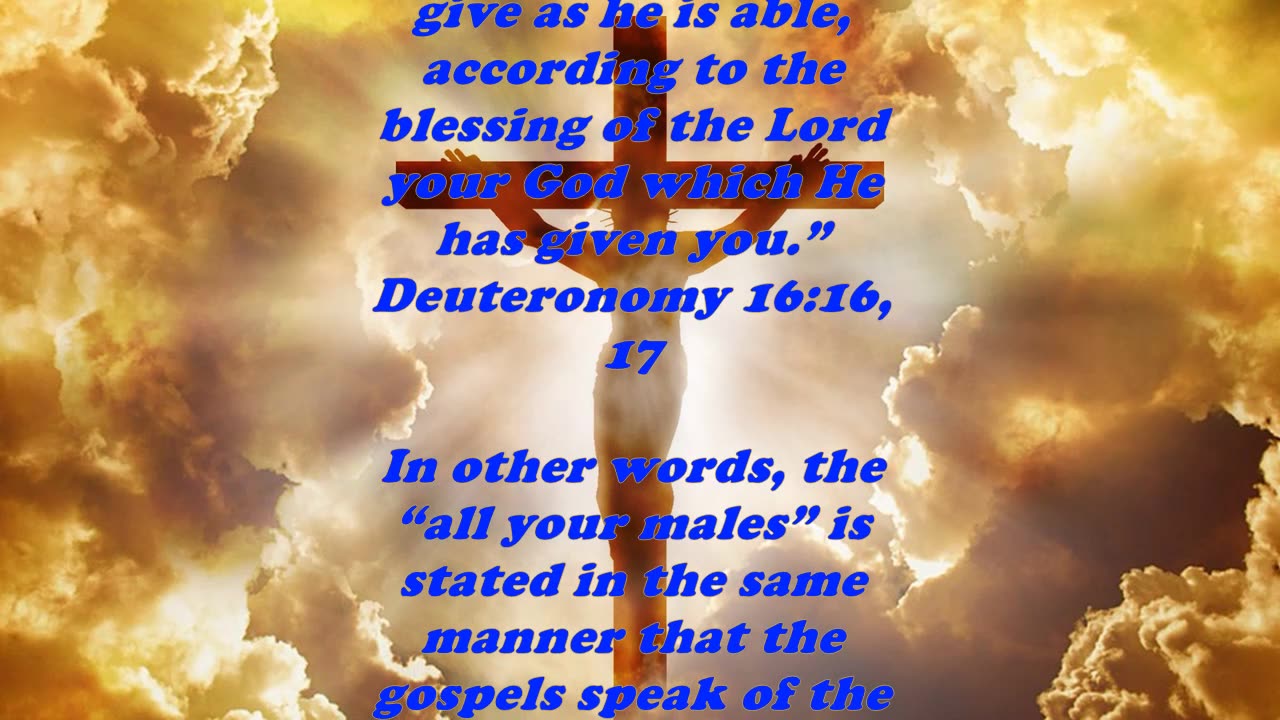 Matthew 14:21 - Daily Bible Verse Commentary