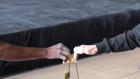 Elite Climber in Action