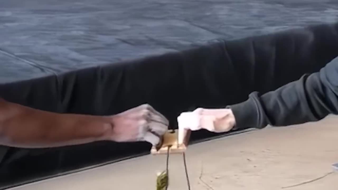 Elite Climber in Action