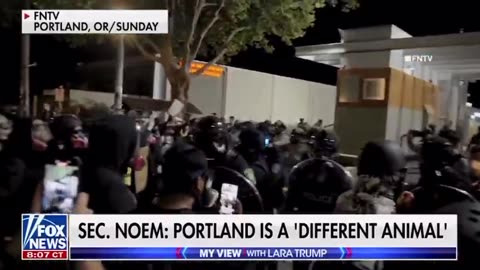 DHS, under President Trump, will NOT ALLOW domestic terrorists to overrun our cities.