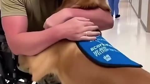 Girl patriot - He served his country and his loyal dog waited for him.