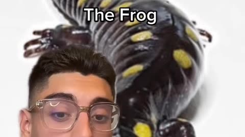 Regeneration secret.