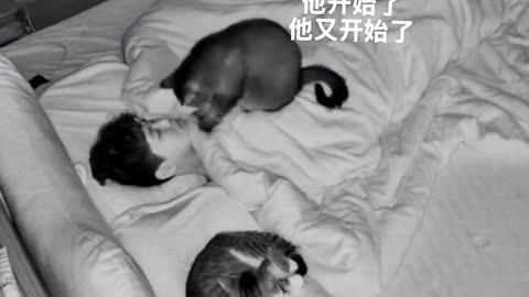 Cat takes care of his master