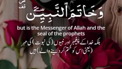 Jaza kallah ♥️✨