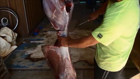 How to process a deer with no waste, sausages, salamis, steaks