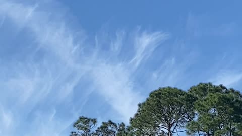 Aerosol Spray Chemtrails