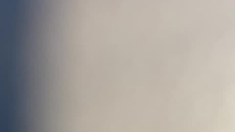 What can you do but shake your head