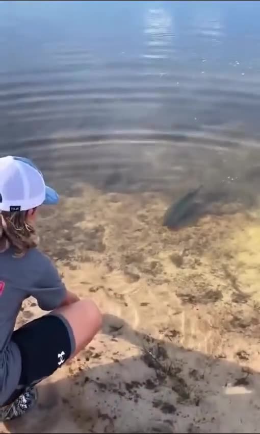 "Man vs. Wild: Attempt to Catch a Dangerous Fish!"