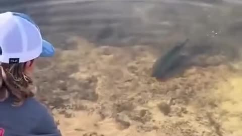 "Man vs. Wild: Attempt to Catch a Dangerous Fish!"