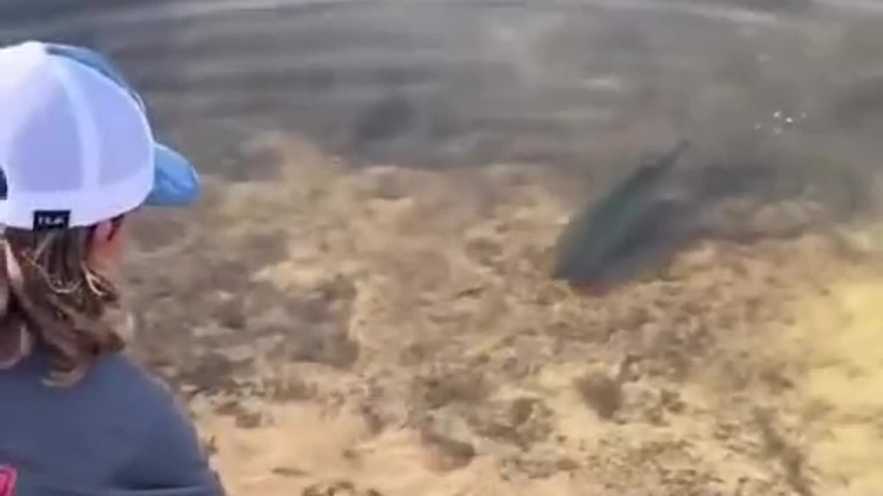 "Man vs. Wild: Attempt to Catch a Dangerous Fish!"