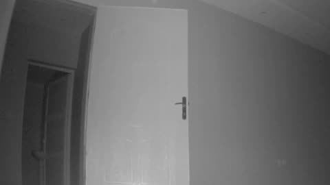 😨👻 What is This Thing in My New House? | TheHauntingHour