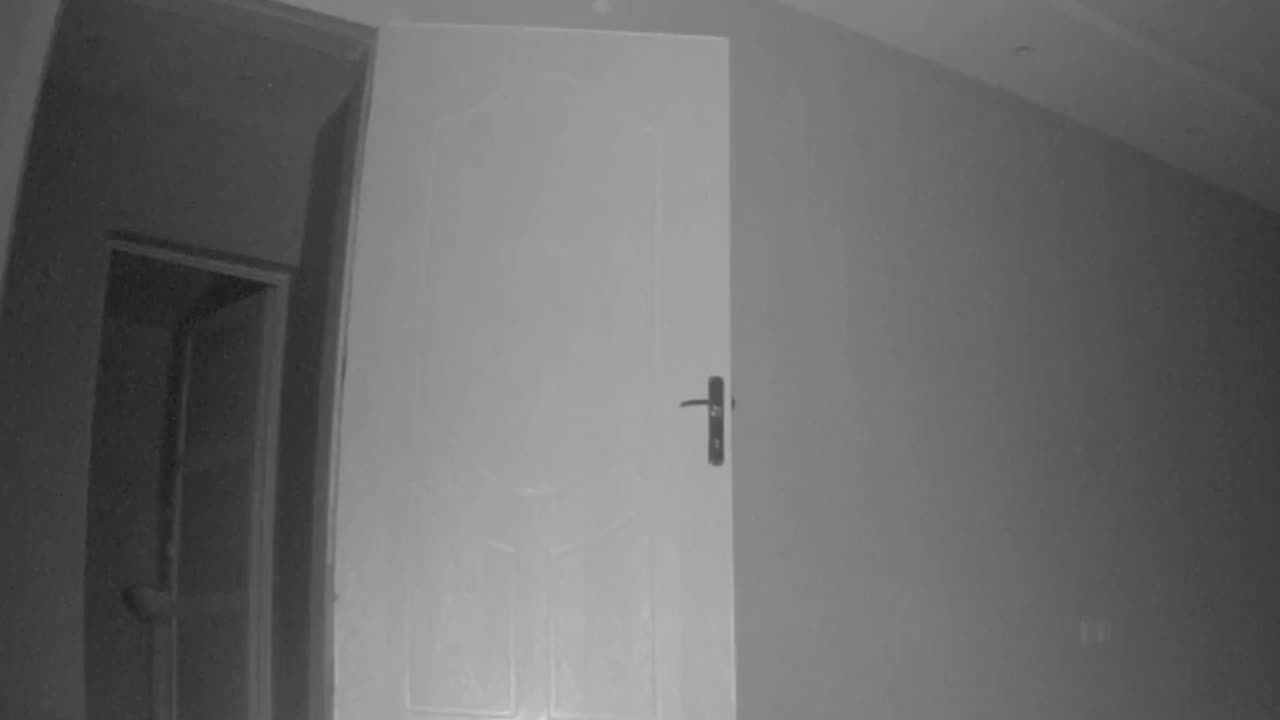 😨👻 What is This Thing in My New House? | TheHauntingHour