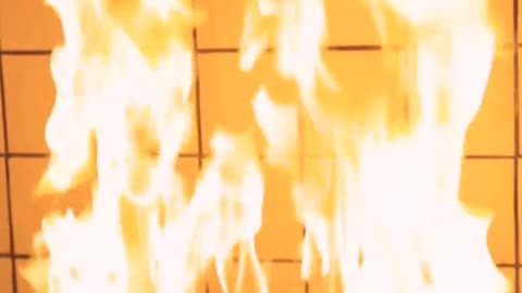 Daily Horoscope | Aries 🌟