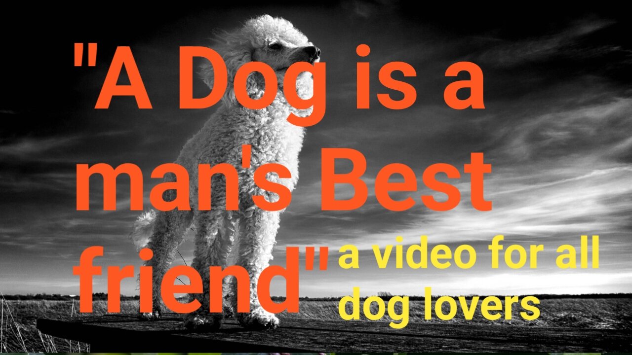 "Dog is a man's Best friend" a video by Khalil.