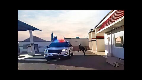 The Murder of Officer Anthony Ferguson