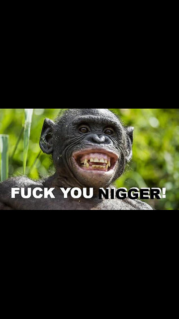 HOMO ERECTUS THE CHIMPANZEE! 😂🐒🐒🐒