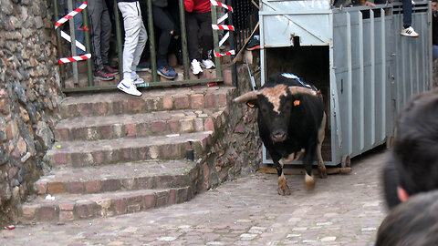 2026 01 10 VEO SAN ANTONIO