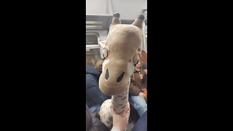 Now in Exmouth arms might have to pay for hotel got no chance getting back tonight lol