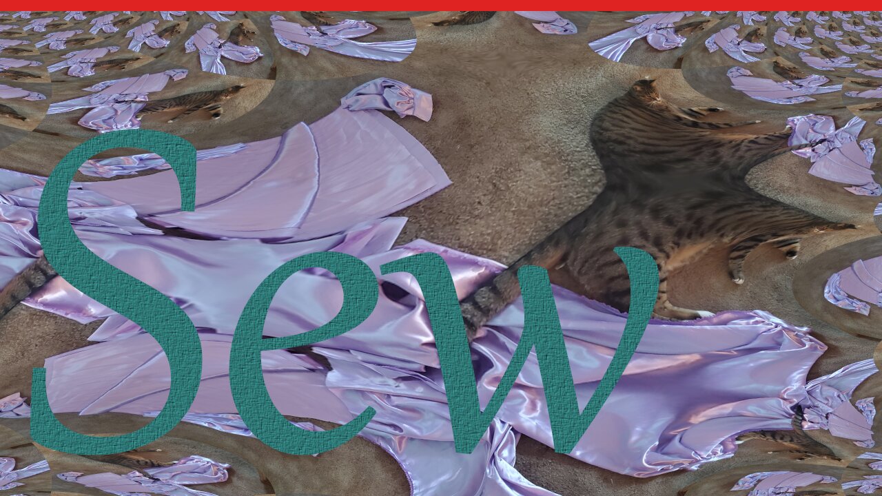 Sew Whatever Wednesday || Stitch & B*