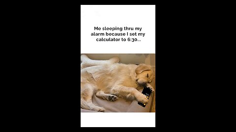 “When Life Gives You Funny Mood | Ultimate Meme Shorts” #FunnyMemes #MemeShorts #ViralVideo