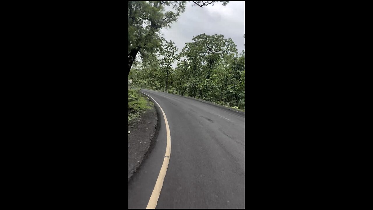 The Magic of the Open Road🚗🚗🚗🚗