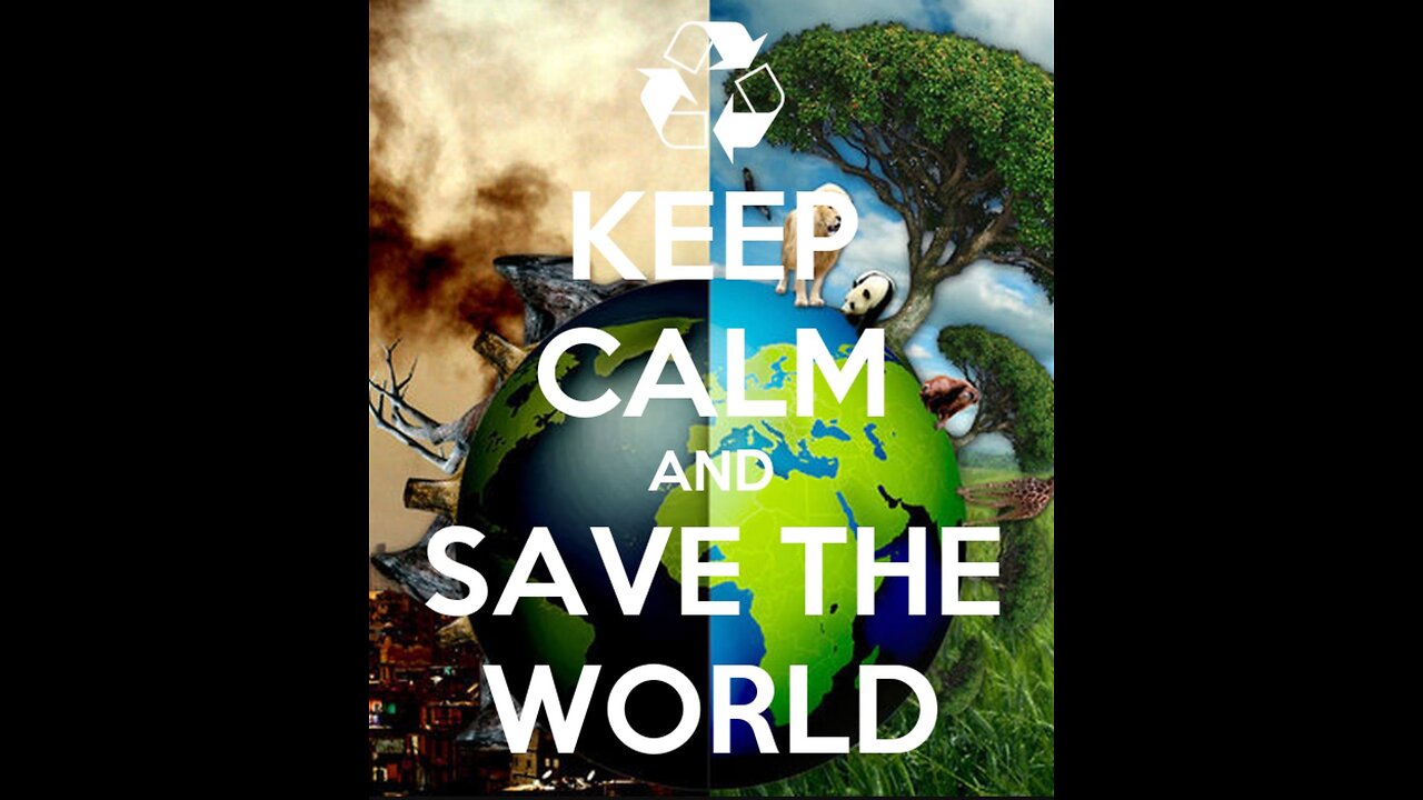 mummy bear saving cubs