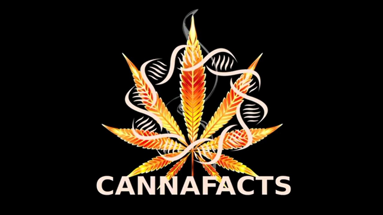 Cannabis Truth you must know