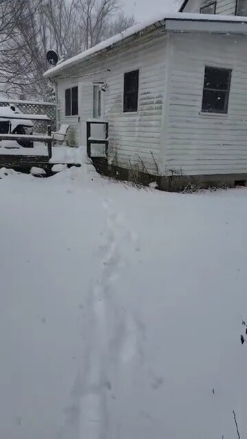 Southern Illinois Snow Storm December 16th 2019