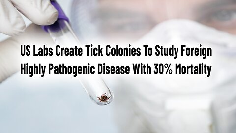 US Labs Create Tick Colonies To Study Highly Pathogenic Disease With 30% Mortality