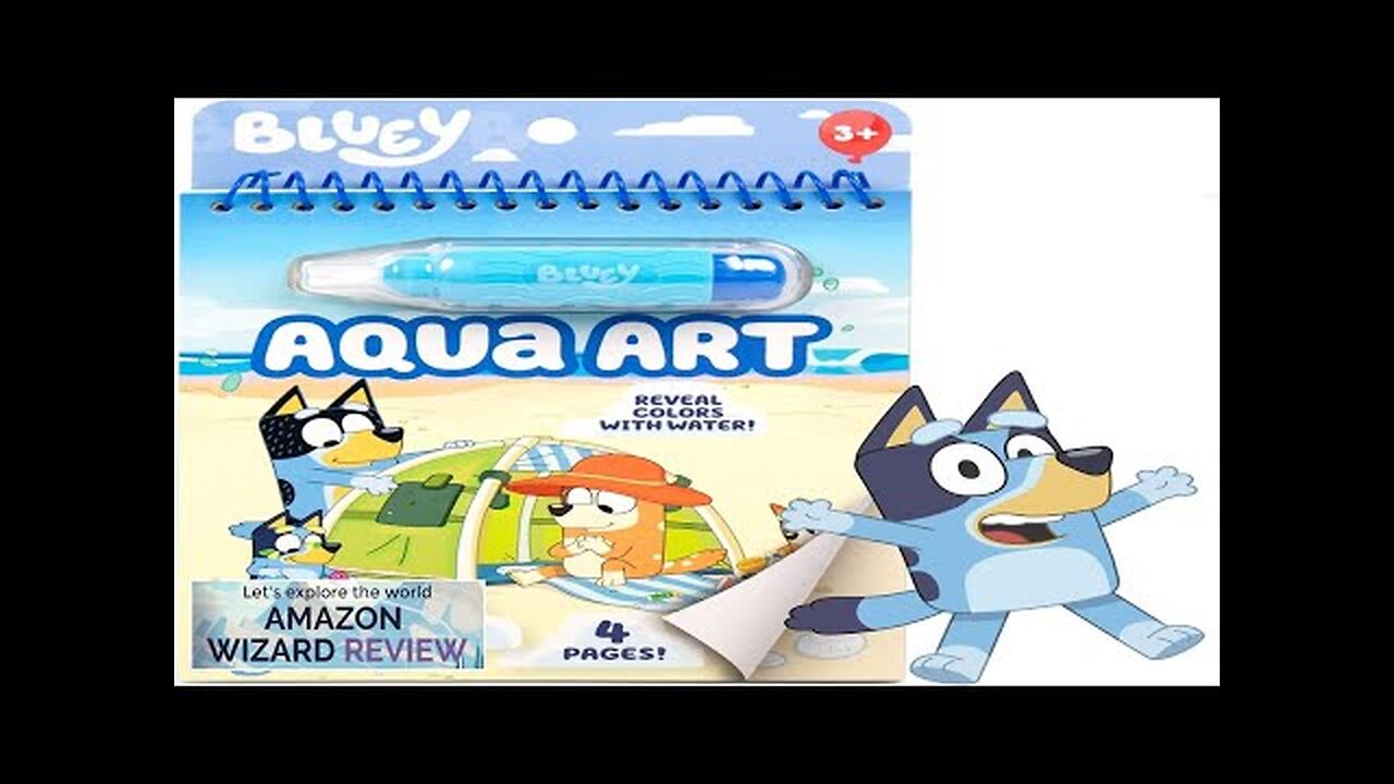 Horizon Group USA Bluey Aqua Art Reusable Water Reveal Activity Pages Review