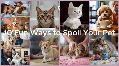 🎉 10 Fun Ways to Spoil Your Pet! 🐾 | Pet Parent Hacks 🐶🐱