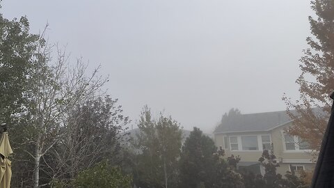 Fog 🌫️