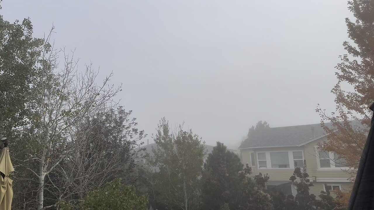 Fog 🌫️