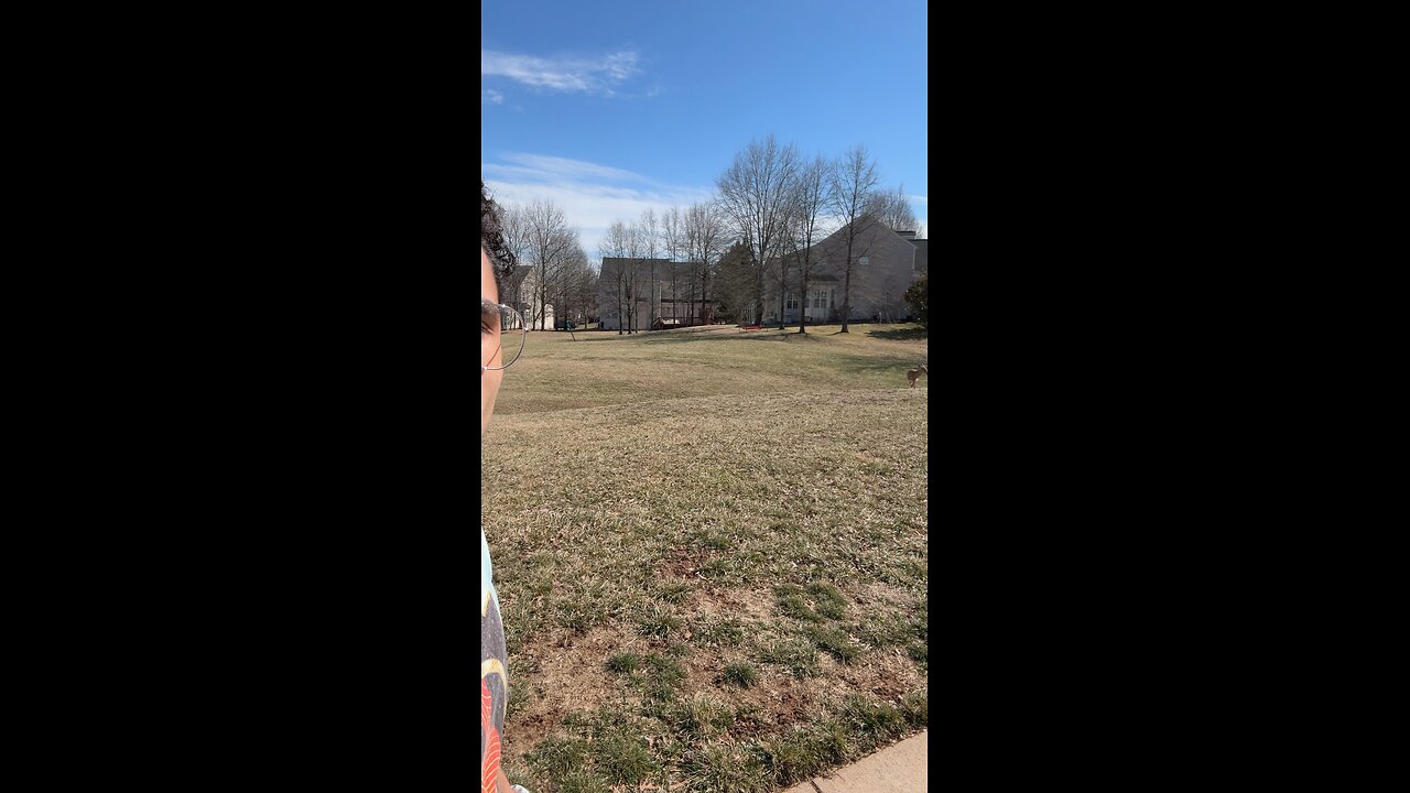 Five deer… ten feet away… in broad daylight. This feels unreal.