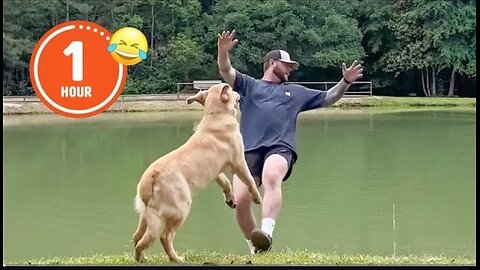 FUNNIEST Pets of 2024...So Far 😂 _ BEST Compilation