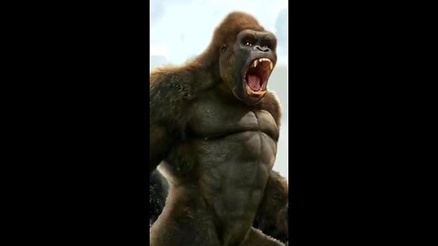strange animals 😱