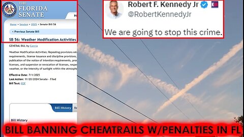 BILL BANNING CHEMTRAILS W/PENALTIES - Florida Rep. Senator "Weather Modification Activities"