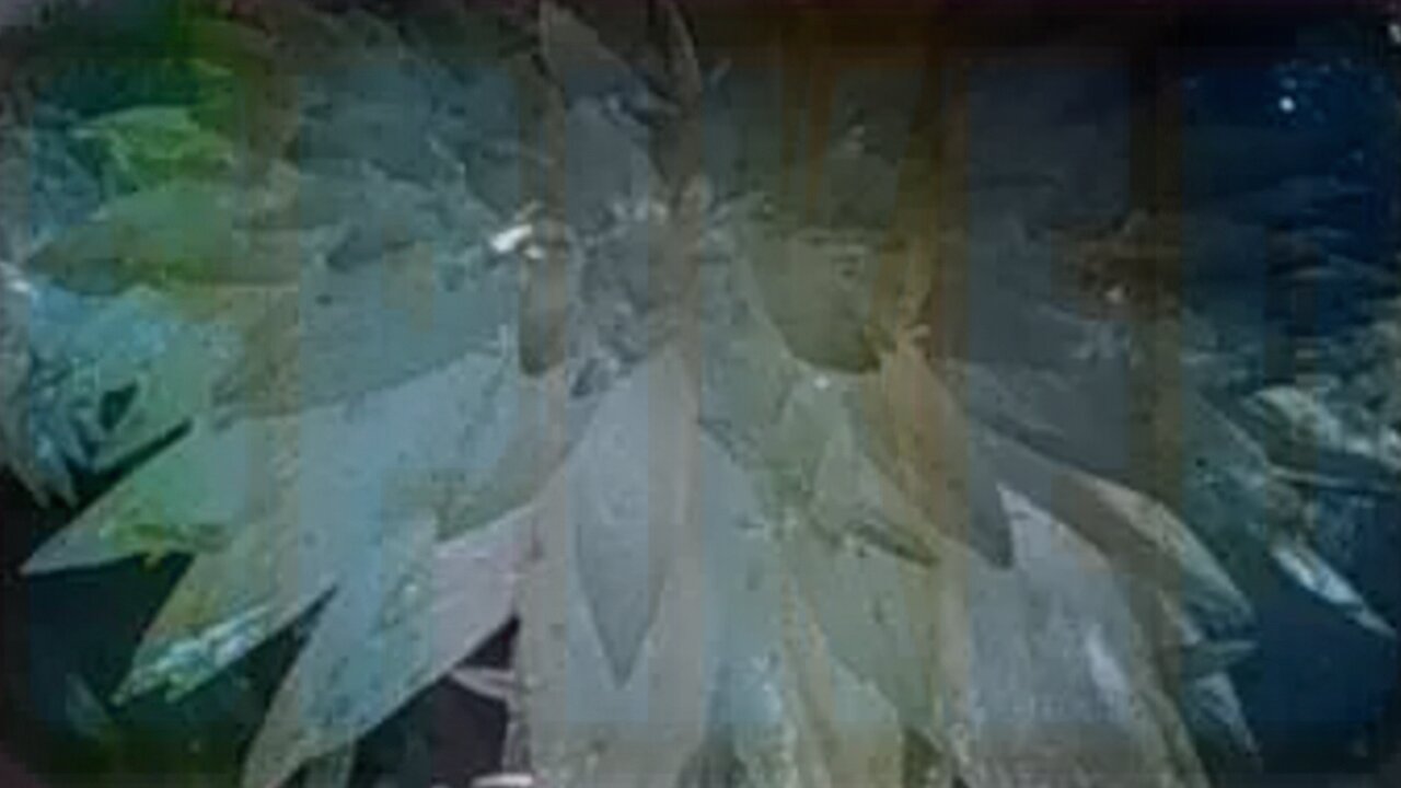 Midnight Oblivion Pt 390.2: SPIKED