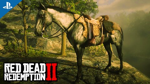 Roubei o Cavalo TURCOMENO PRATA do Hosea Dólar de Prata (Tumbleweed) Red Dead Redemption 2