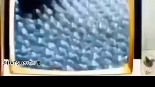 1960s News the flue vaccine found to be ineffective whistleblowers censored or fired