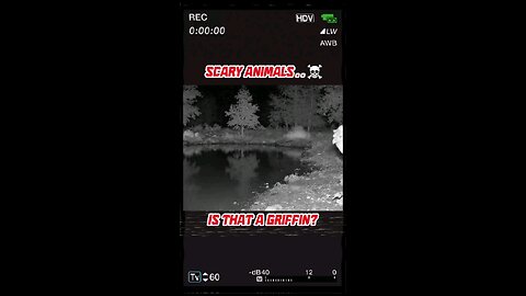 Is That a Griffin❓❗💀😱 #reels #reel #eagle #reelsintagram #fbpro #aivideo #viral #elang #sorotan