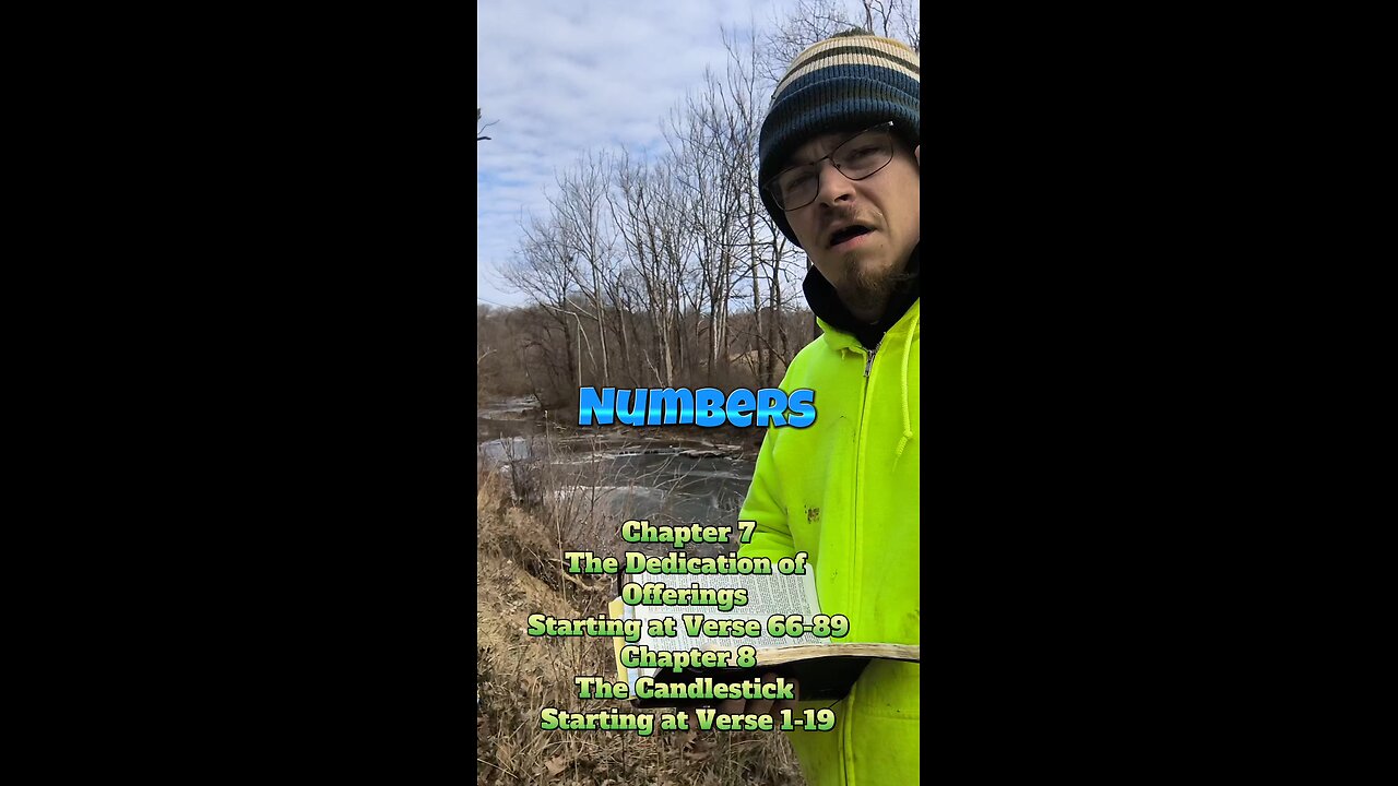 Numbers chapter 7 getting into chapter 8