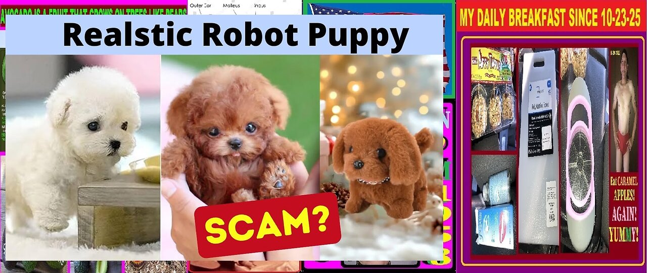 The Total FRAUD & SCAM The AI Robot puppy Wuffy is! the China SCAM! sold on MOST buying websites