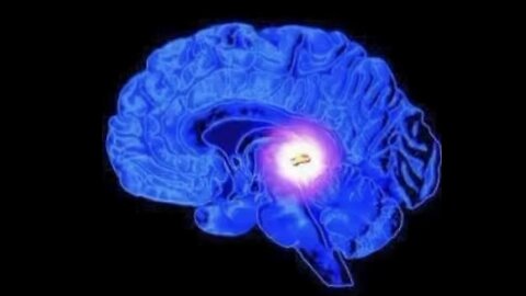 The Brain's 'Christos' Sacred Oil - Raising Our Vibration