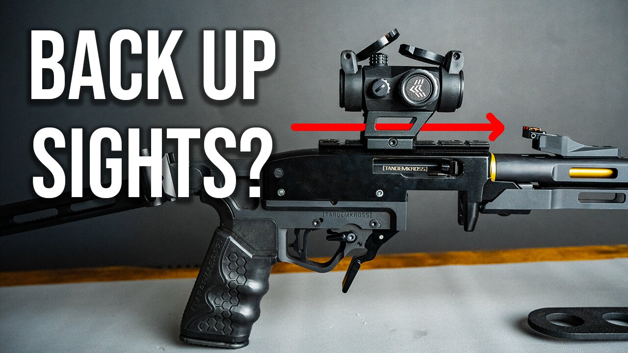 Back Up Sights For Your Ruger 10/22!